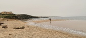 Enlarge photo 135