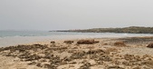 Enlarge photo 139
