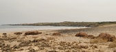 Enlarge photo 140