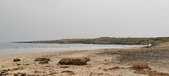 Enlarge photo 141