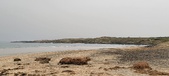 Enlarge photo 142