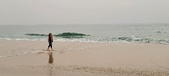 Enlarge photo 146