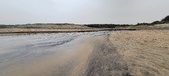 Enlarge photo 165