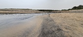 Enlarge photo 169