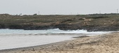 Enlarge photo 177