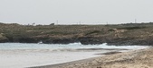 Enlarge photo 175