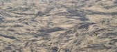 Enlarge photo 188