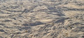 Enlarge photo 192