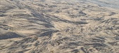 Enlarge photo 191