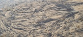 Enlarge photo 190