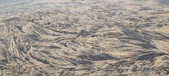 Enlarge photo 196