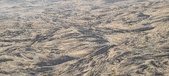Enlarge photo 195