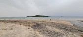 Enlarge photo 199