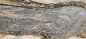 Enlarge photo 197