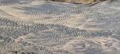 Enlarge photo 201