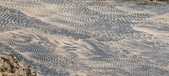Enlarge photo 202