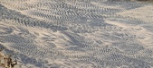 Enlarge photo 203