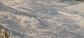 Enlarge photo 204