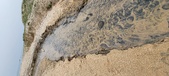 Enlarge photo 211