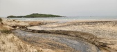 Enlarge photo 217