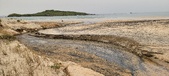 Enlarge photo 218