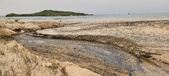 Enlarge photo 219