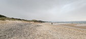 Enlarge photo 229