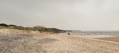 Enlarge photo 230