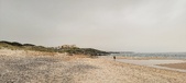 Enlarge photo 231