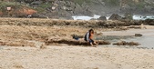 Enlarge photo 235