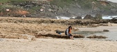 Enlarge photo 236
