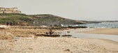Enlarge photo 241