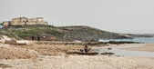 Enlarge photo 239