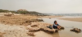 Enlarge photo 246