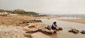 Enlarge photo 248