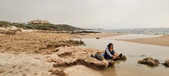 Enlarge photo 249