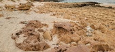 Enlarge photo 253