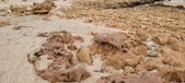 Enlarge photo 252