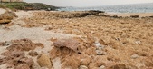 Enlarge photo 251