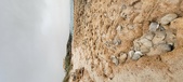 Enlarge photo 254
