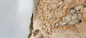 Enlarge photo 255