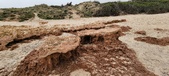 Enlarge photo 256