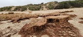 Enlarge photo 257