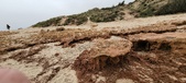 Enlarge photo 258
