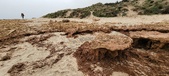 Enlarge photo 259