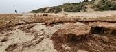 Enlarge photo 260