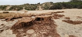 Enlarge photo 261