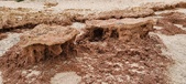 Enlarge photo 262