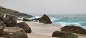 Enlarge photo 269