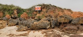 Enlarge photo 270